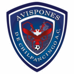 Avispones de Chilpancingo
